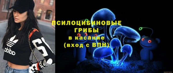 прущий лед Абаза