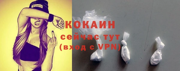 прущий лед Абаза